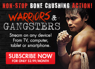 Warriors & Gangsters - Bone Crushing Action